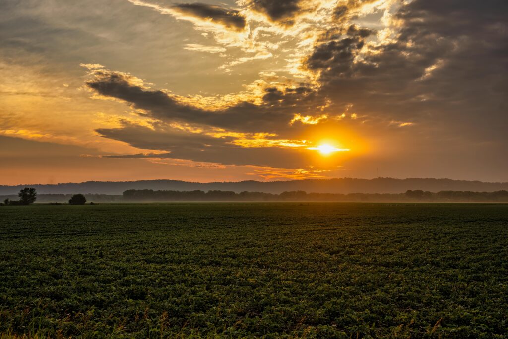 A breathtaking sunset over lush farmland in Kellogg, Minnesota, captures the serene countryside landscape.
