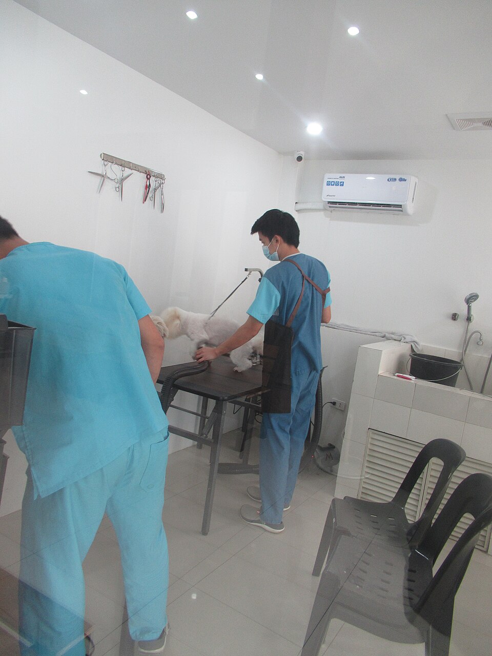 Stainless steel bathing and grooming stations